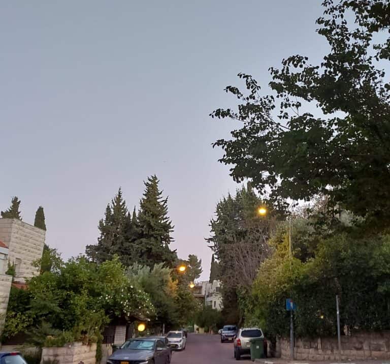 מבט רחב על רחוב כספי היוקרתי בירושלים, רחוב מגוריו של המיליארדר סיימון פאליק