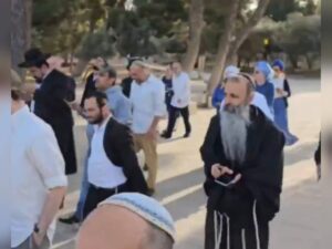 יהודים עולים להר הבית, חלקם עם דגלי ישראל, ביום העצמאות 2025