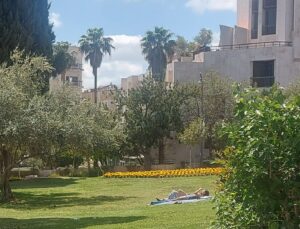 פארק בירושלים ביום שמשי עם עצים, פרחים ואדם נהנה מהשמש.
