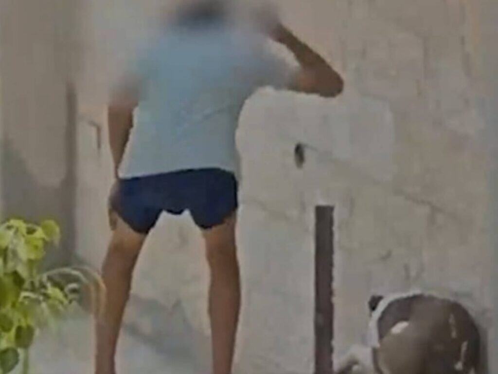גבר תוקף כלב במבשרת ציון שבמחוז ירושלים