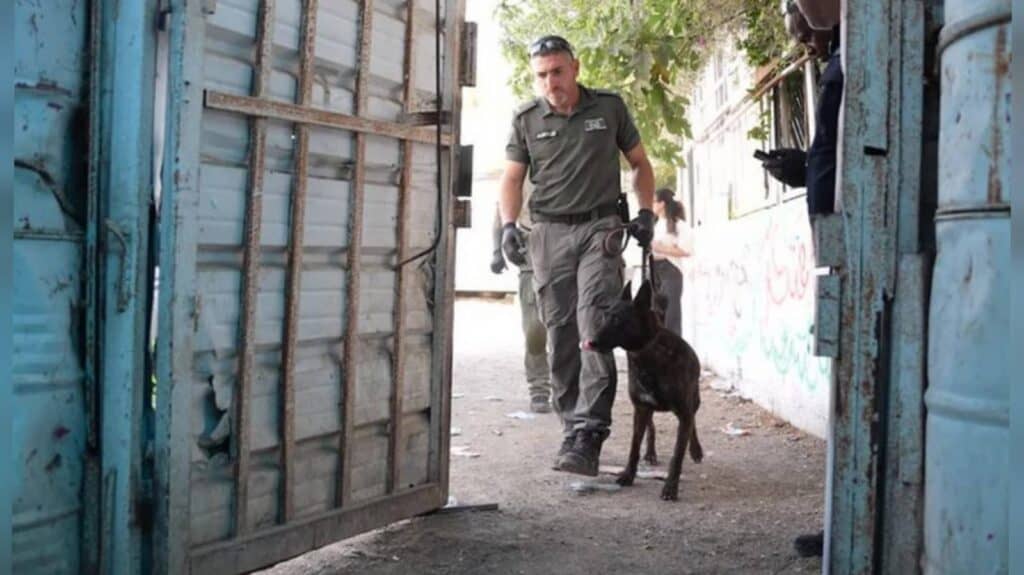 פשיטה של משטרת מחוז ירושלים על קרוואנים עם סמים בשכונת סילואן במזרח העיר