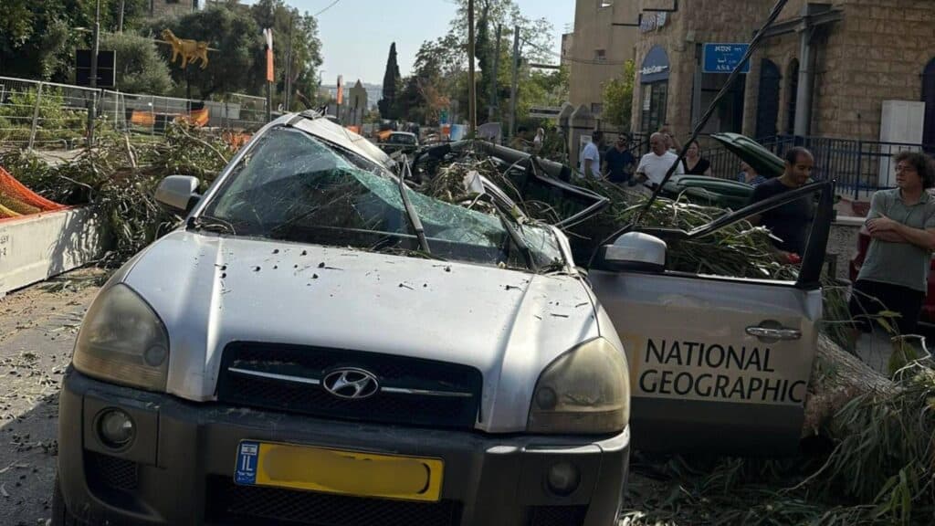 עץ קרס על רכב נשיונל ג'יאוגרפיק בעמק רפאים בירושלים