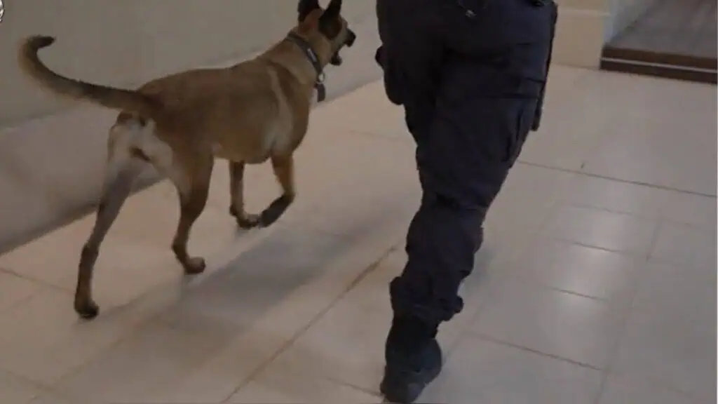 Serbuan polis bongkar pengubahan wang kripto $30 juta, menutup aliran kewangan jenayah di Baitulmaqdis