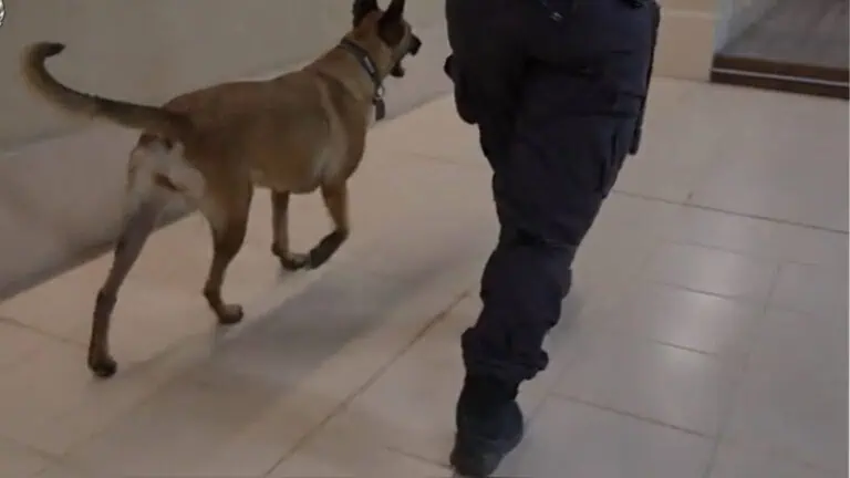 Serbuan polis bongkar pengubahan wang kripto $30 juta, menutup aliran kewangan jenayah di Baitulmaqdis