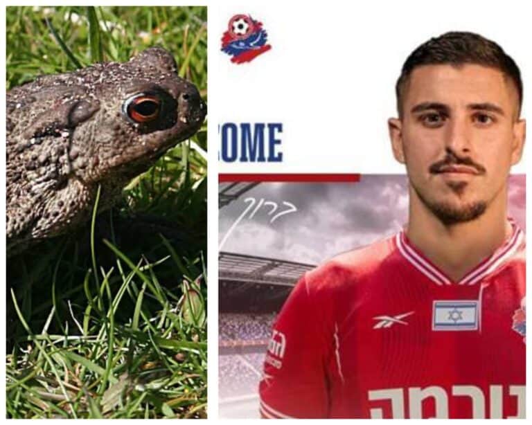 אופק ביטון שעזב את הפועל ירושלים להפועל חיפה, לצד קרפד המסמל את כינוי יו"ר הוועד המנהל