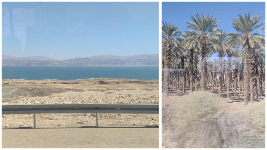 נוף ים המלח ומטעי דקלים כפי שנראים מהכביש מירושלים, תחושת מסע עונתי במדבר