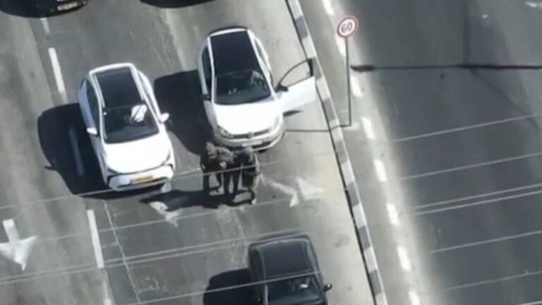 תיעוד רחפן של מג"ב ירושלים עוצר חשוד עם נשק ותחמושת סמוך לירושלים