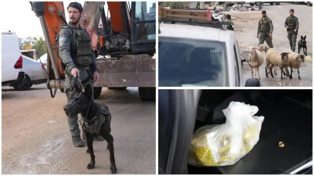 Polis Daerah Baitulmaqdis dan Pasukan Sempadan merobohkan kompleks pengedaran dadah di Silwan, Baitulmaqdis Timur