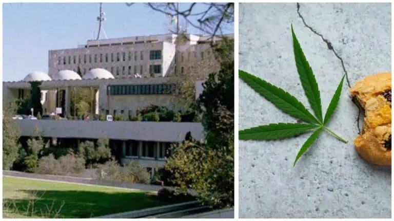 Jabatan kecemasan pediatrik Hadassah Mount Scopus di Baitulmaqdis dengan ilustrasi daun ganja dan biskut