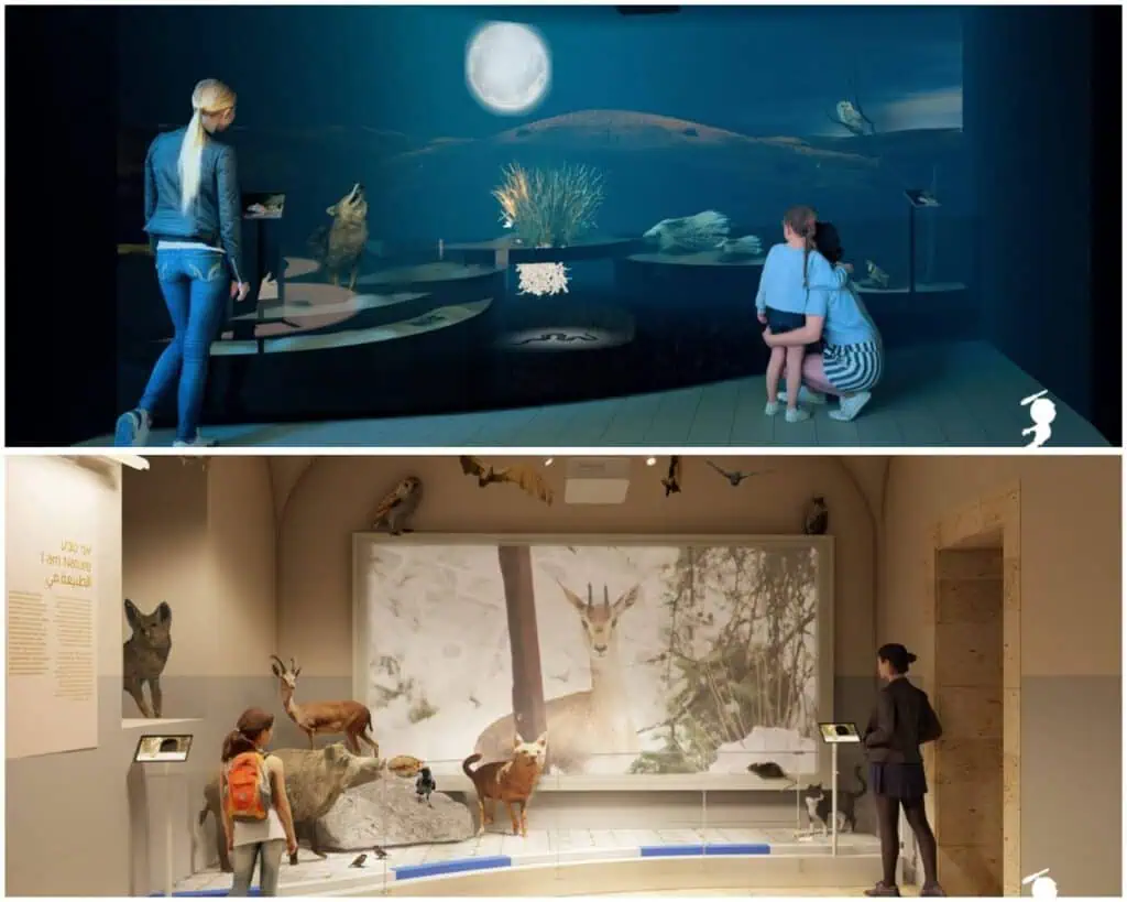 विला डेकान और नए पर्यावरणीय बगीचे के साथ पुनर्निर्मित यरुशलम नेचर म्यूजियम की रेंडरिंग